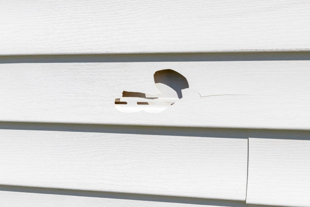 Affordable siding repair and maintenance services in Wayland, MI