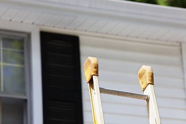 Best Siding Removal and Disposal  in Wayland, MI